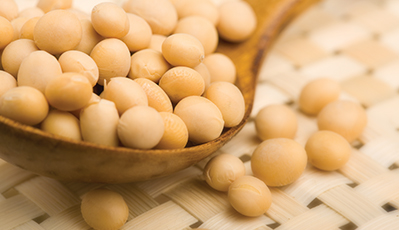 ÓŵÂ88(ÖйúÇø)¹Ù·½ÍøÕ¾