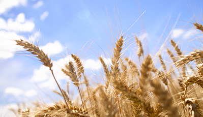 ÓŵÂ88(ÖйúÇø)¹Ù·½ÍøÕ¾