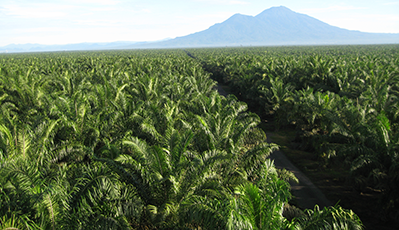 ÓŵÂ88(ÖйúÇø)¹Ù·½ÍøÕ¾