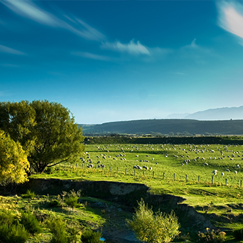 �ŵ�88(�й���)�ٷ���վ