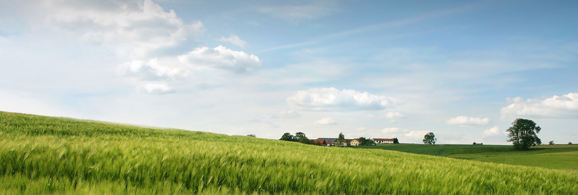 �ŵ�88(�й���)�ٷ���վ