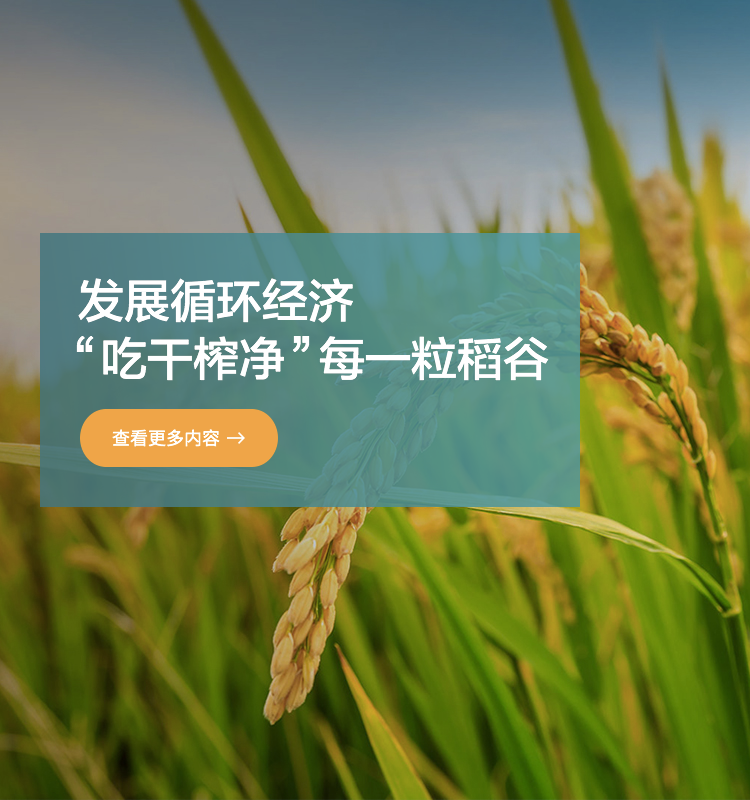 �ŵ�88(�й���)�ٷ���վ