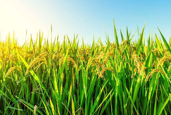 ÓŵÂ88(ÖйúÇø)¹Ù·½ÍøÕ¾