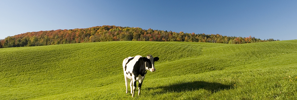 ÓŵÂ88(ÖйúÇø)¹Ù·½ÍøÕ¾