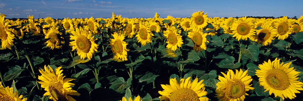 ÓŵÂ88(ÖйúÇø)¹Ù·½ÍøÕ¾