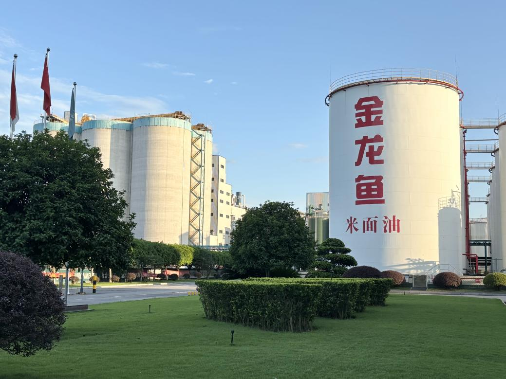 �ŵ�88(�й���)�ٷ���վ