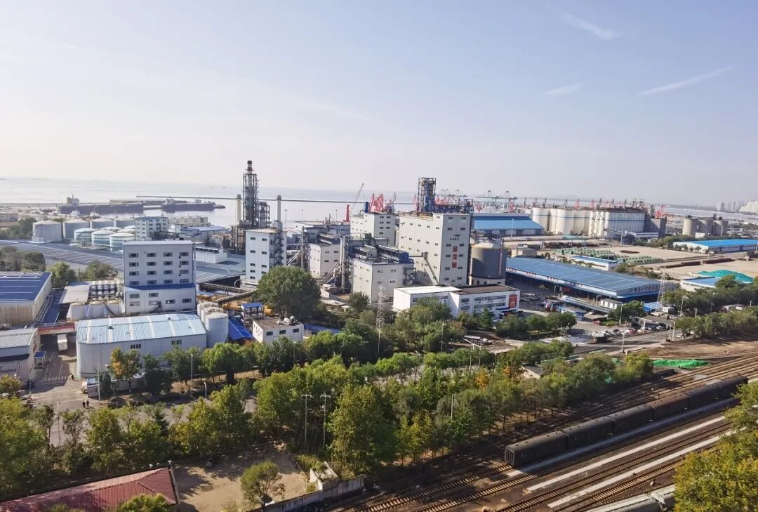 �ŵ�88(�й���)�ٷ���վ