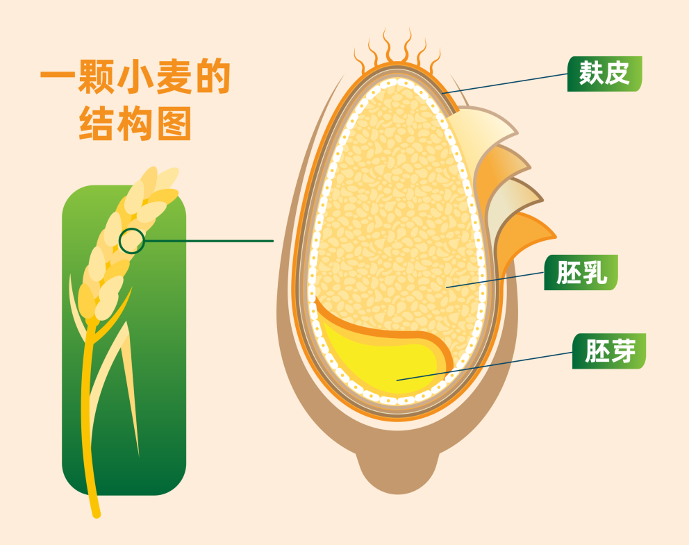 �ŵ�88(�й���)�ٷ���վ